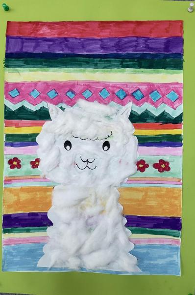 Die Alpacas leben in Peru