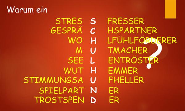 Warum ein Schulhund?